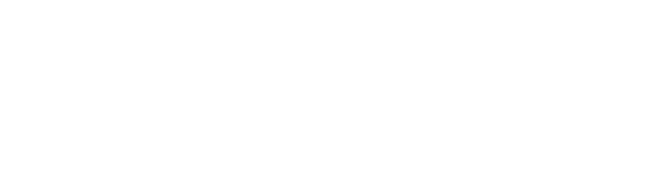 SPORT SHINY